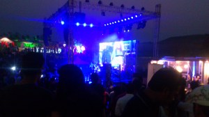 Sulafest 2013 Nashik. Sula Vineyards.