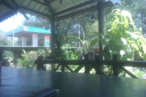 Divtya Budhlya Wada Nashik - A Maharashtrian Restaurent With Folk Style Decor