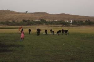 Nashik Hangout Places Gangapur Backwaters Justnashik.com