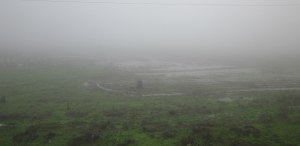 Nashik Mumbai Highway In Monsoon