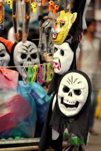 Kalika yatra nashik 2013