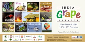 India Grape Harvest 2014 Nashik