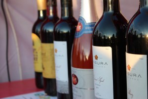 India Grape Harvest 2014 Nashik