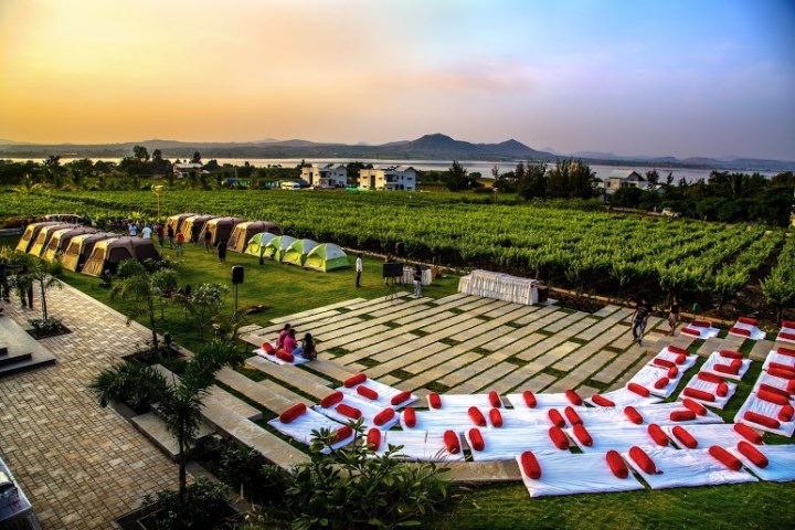 Soma Vineyards Nashik