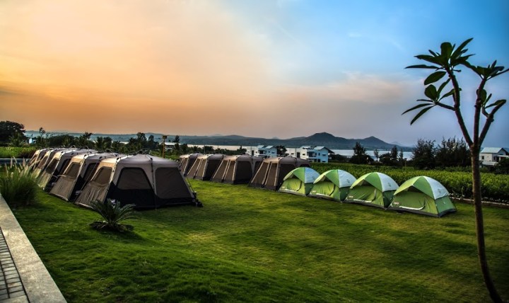 Soma Vineyards Nashik