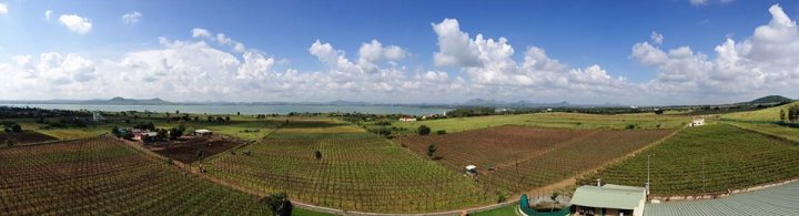 Panoramic View from York's Tasting Room