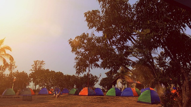 spacedoutspirits Cupid's Den