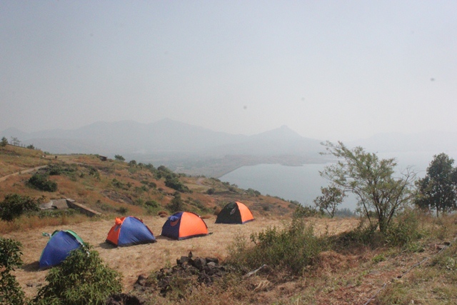 spacedoutspirits Cupid's Den