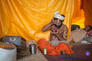 Nashik Photo essay Sadhugram/Tapowan Kumbhamela