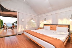 Drumstick Lagoon Nashik