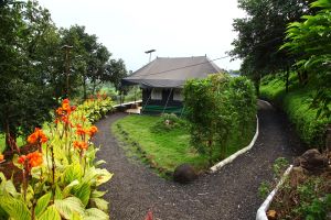 Drumstick Lagoon Nashik